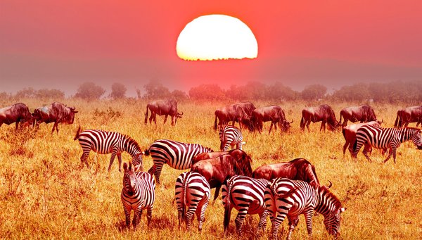 Tierras de Tanzania – 8 días