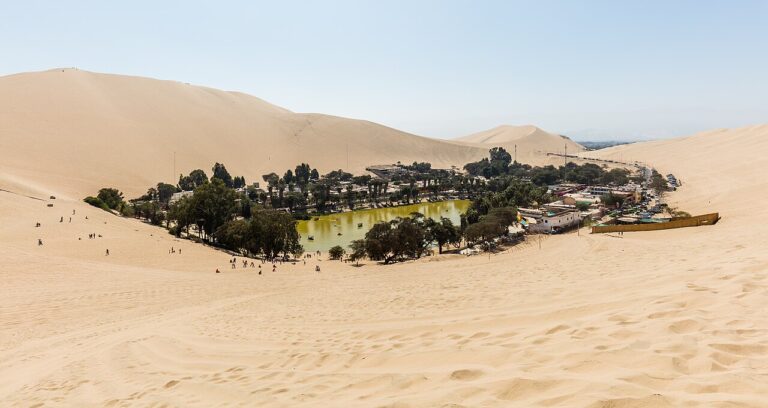 Full Day Paracas, Ica y Huacachina