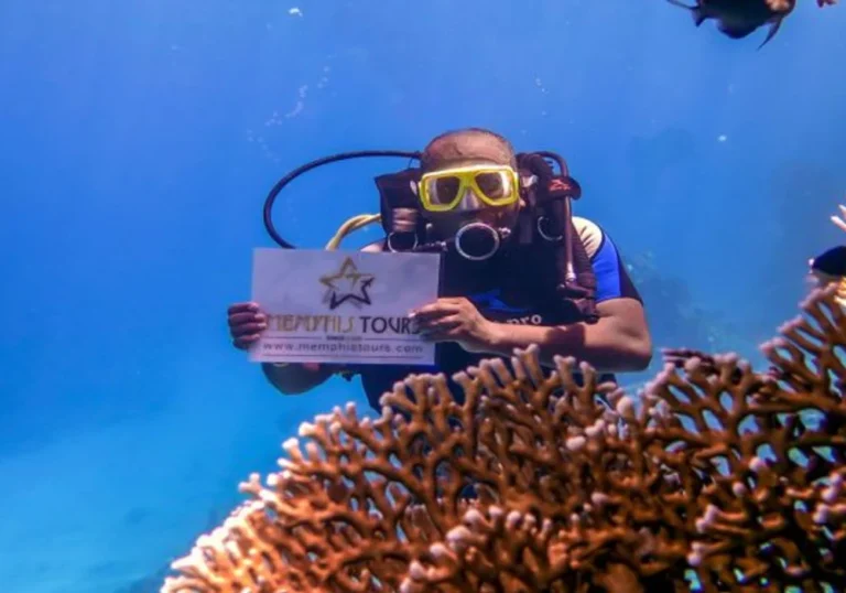 Viaje de Snorkel en la Isla Paradise
