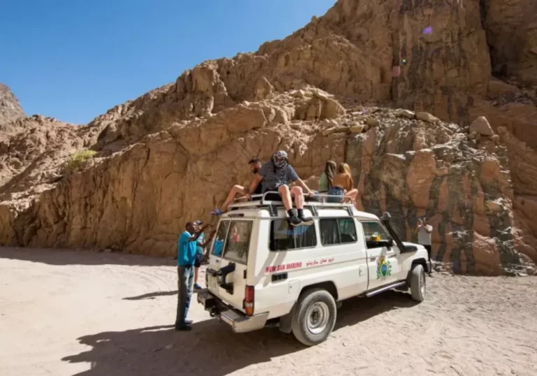 Excursión Safari en el Sinaí desde Sharm o Dahab