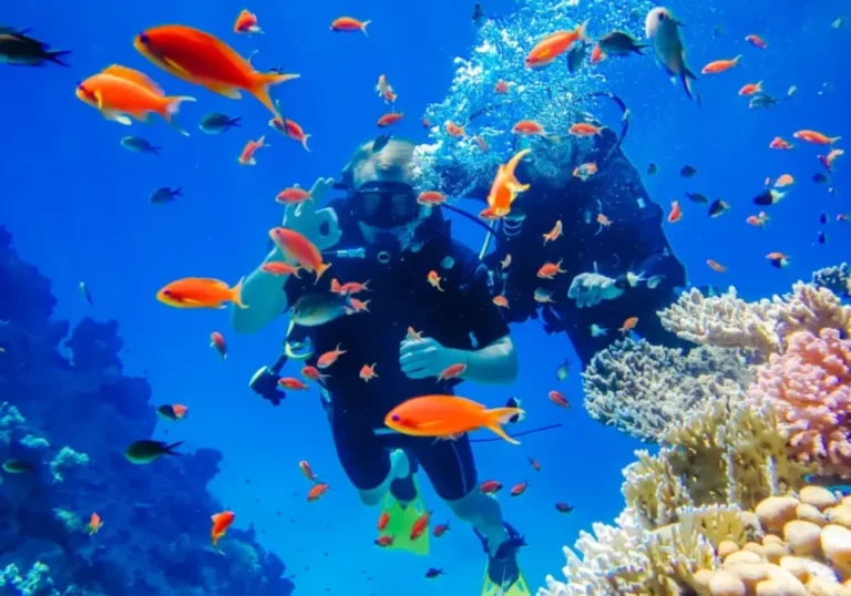 Buceo en los arrecifes de coral