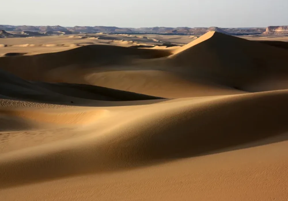 Aventura y Relax en el Oasis de Siwa: Viaje de 4 Días