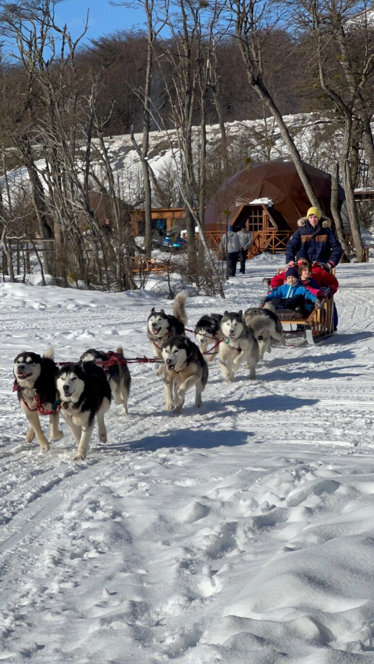 Full Day Nieve · Argentina