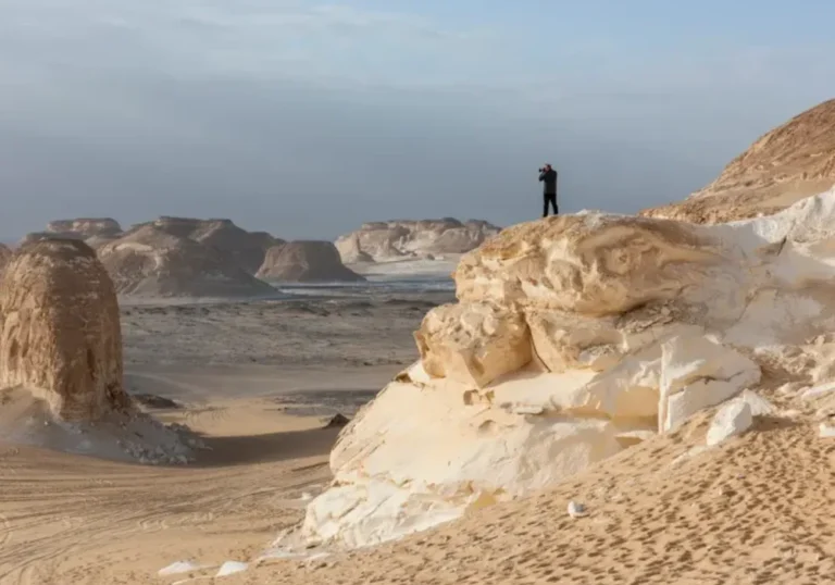 Tour al Desierto Blanco y el Oasis de Bahariya