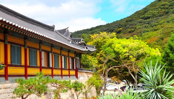 Seúl, Busán e Isla de Jeju — Corea del Sur