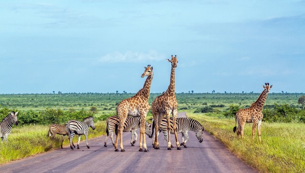 África