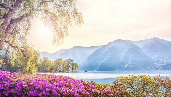 Suiza, Alpes y Norte de Italia · Lugano