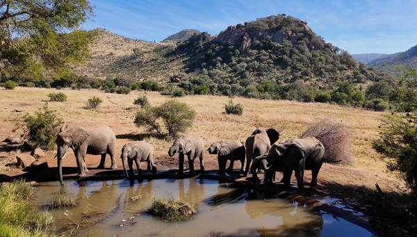 Sudáfrica de ensueño — Sudáfrica