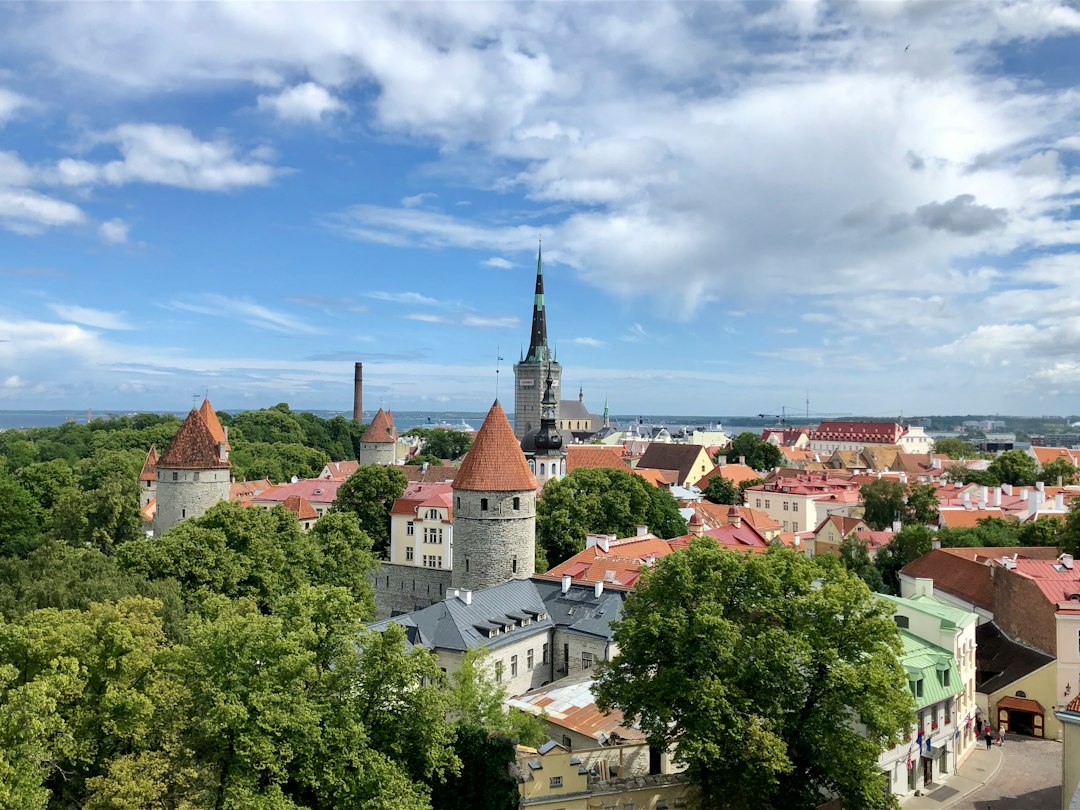 Lituania · Letonia · Estonia · Tres capitales históricas: Vilna, Riga y Tallin, con Kaunas, Colina de las Cruces y el parque de Gauja. · imagen 2