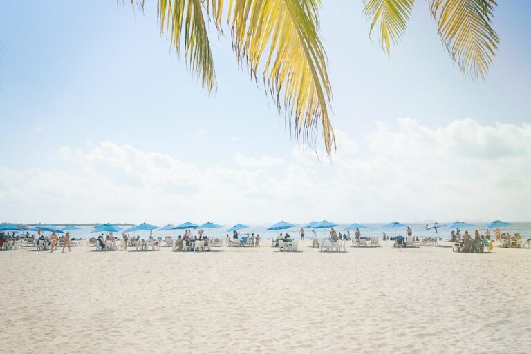Playa y palmeras en Santa Marta · fotografía ilustrativa del destino