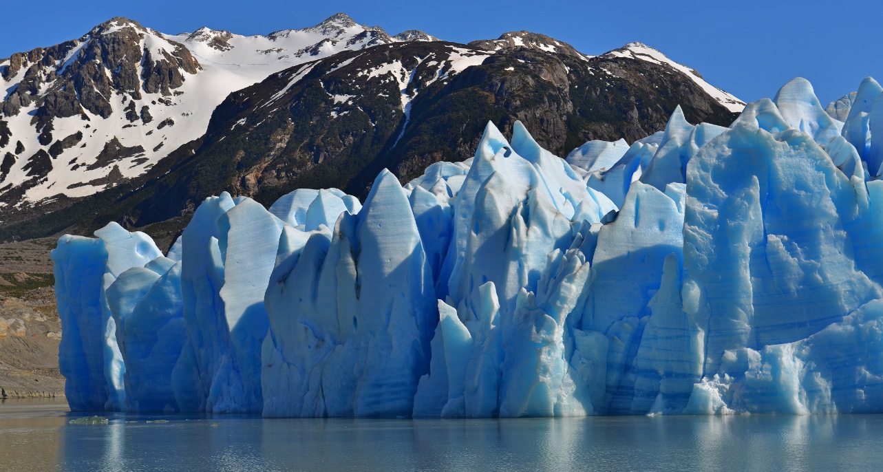 Full Day Navegación Glaciar Grey