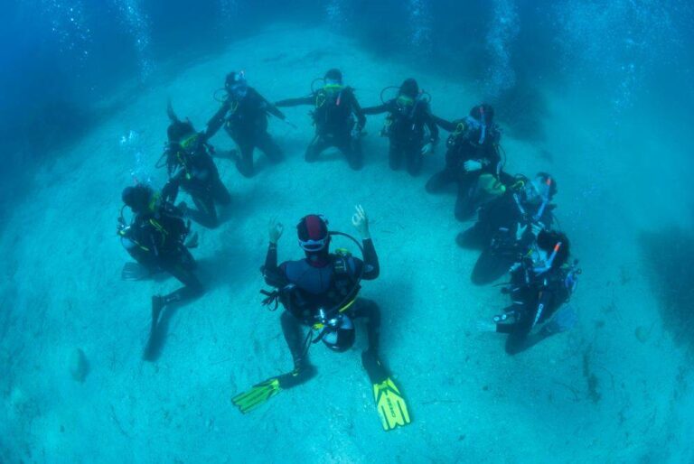 Buceo en Isla Catalina desde Punta Cana · República Dominicana