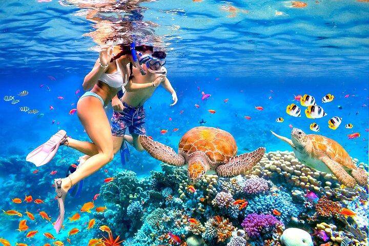 Isla Catalina y snorkeling desde Santo Domingo · República Dominicana