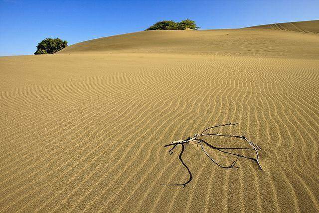 Dunas de Baní, salinas y Punta Salinas · República Dominicana
